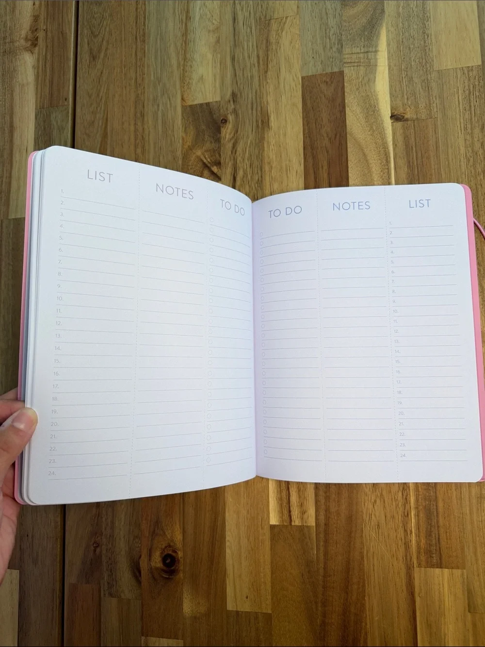NWT Orange Circle Studio 17-Month Monthly Planner
